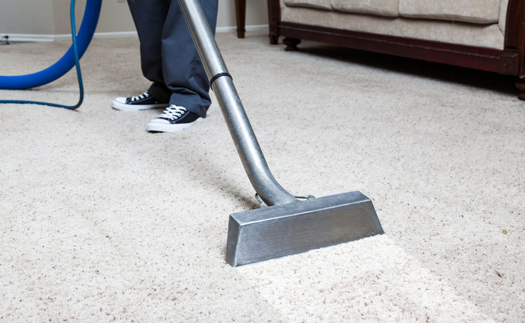 carpet steam cleaning service by pegasus peaks