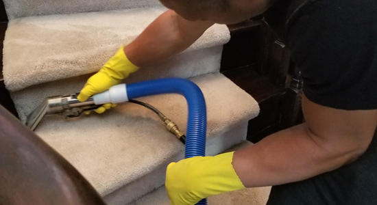 steam cleaning carpets by pegasus peaks