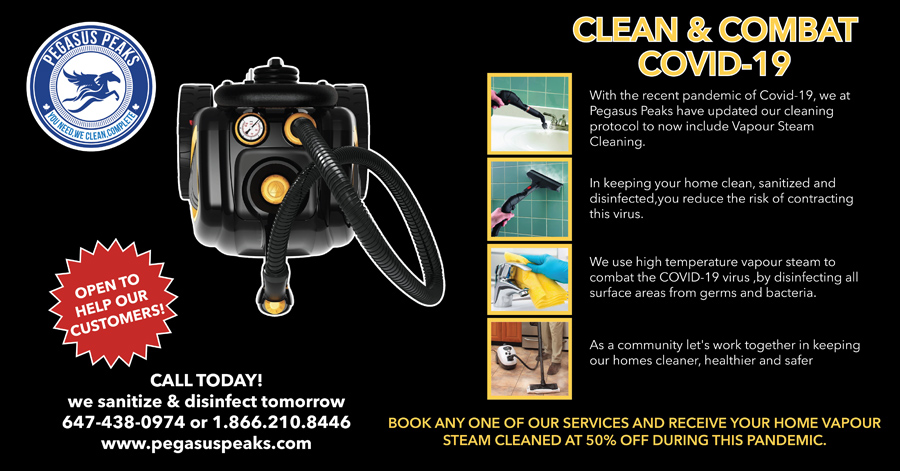 covid-19 clean and combat flyer